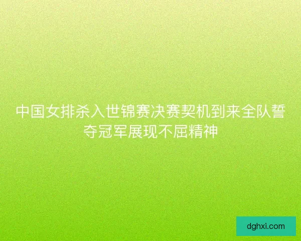 中国女排杀入世锦赛决赛契机到来全队誓夺冠军展现不屈精神